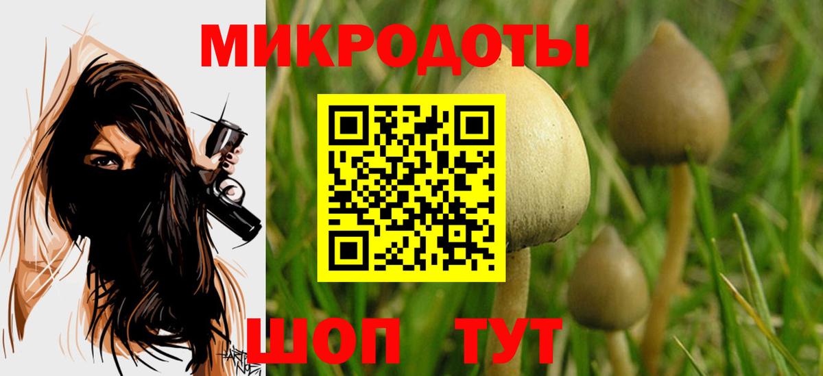 Псилоцибиновые грибы Psilocybe Михайловка